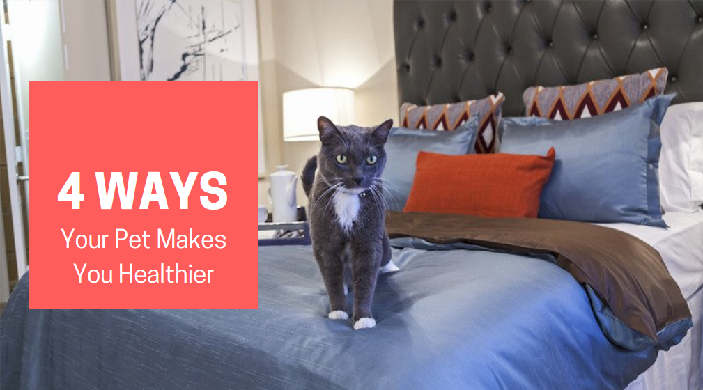 4 Ways Your Pet Makes You Healthier