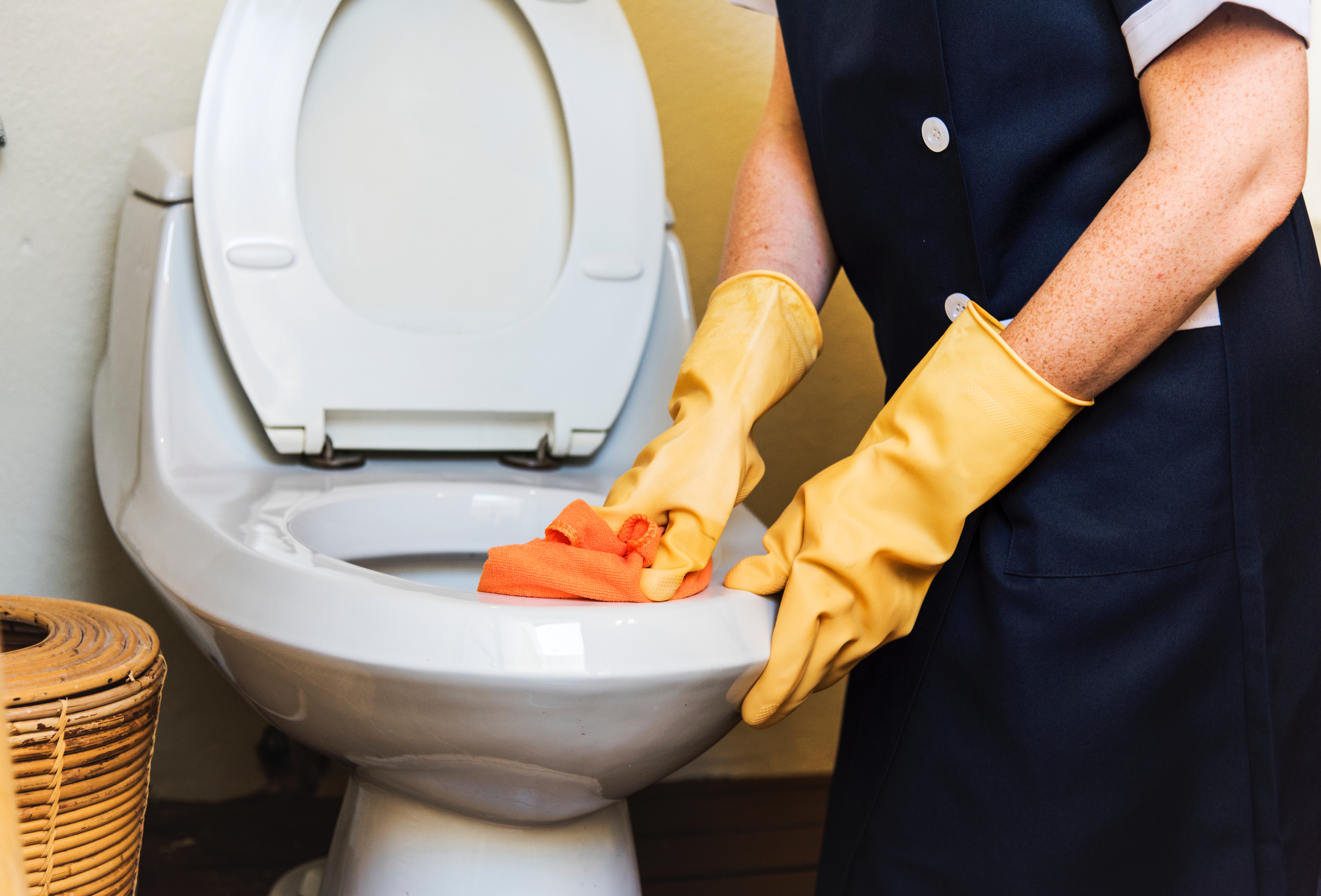 Cleaning Products Cleaning Products