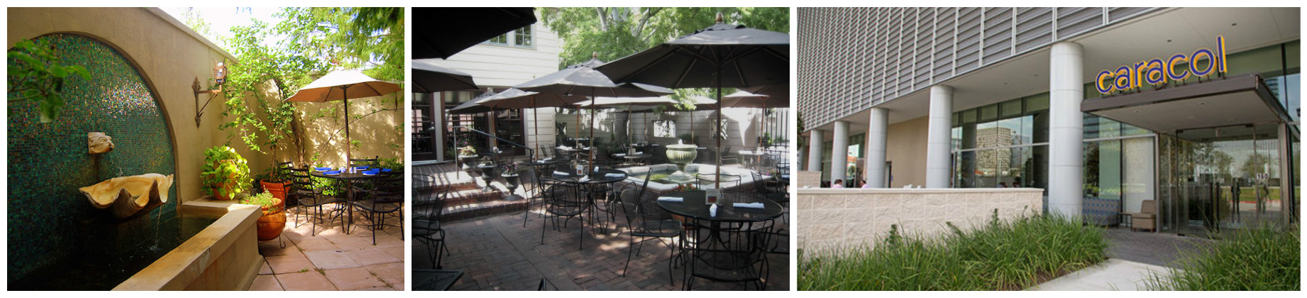 Dog Friendly Places Dallas Dog Friendly Places Dallas