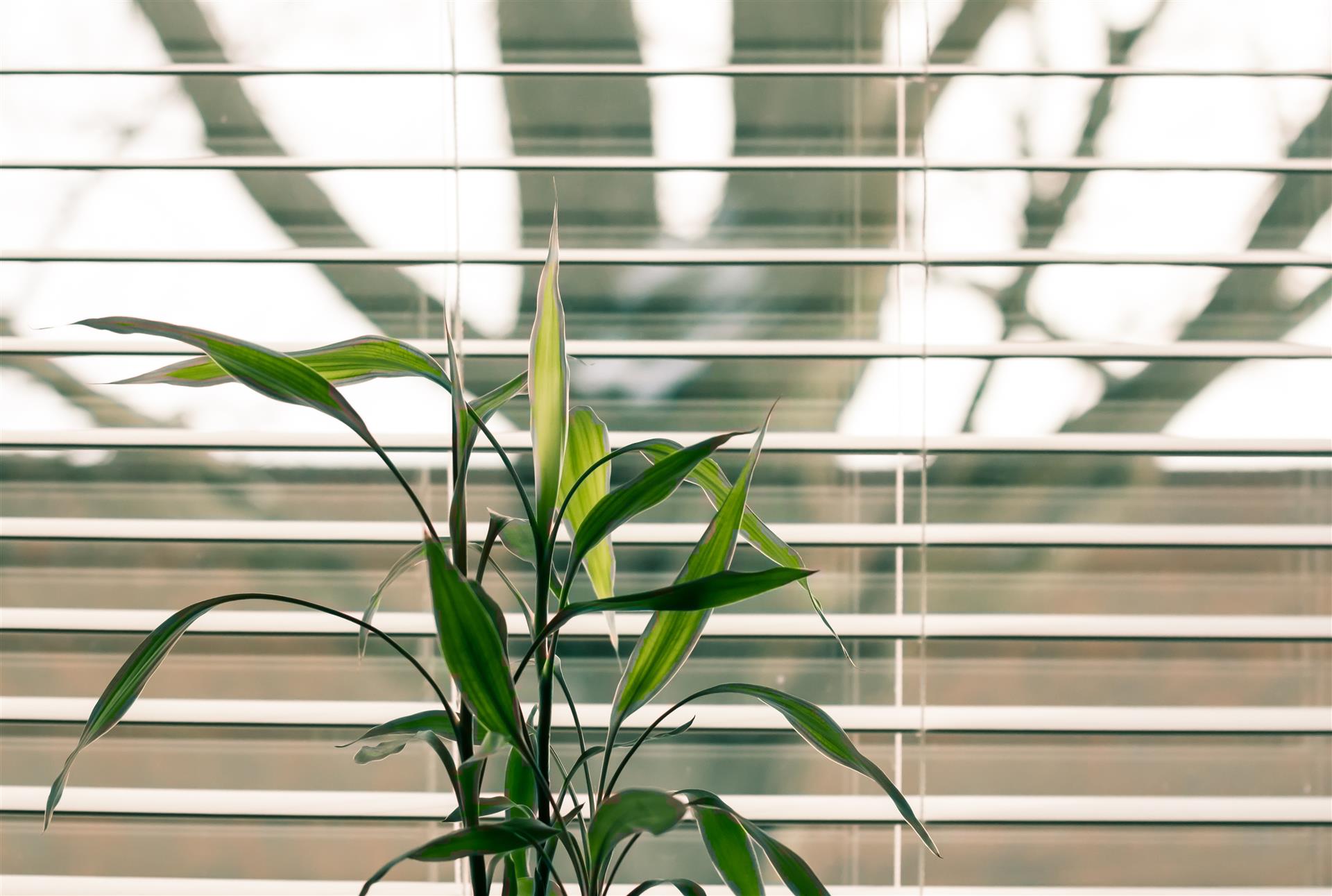 Sunny Day_Energy-Saving Ways To Warm Your Apartment This Winter Sunny Day_Energy-Saving Ways To Warm Your Apartment This Winter