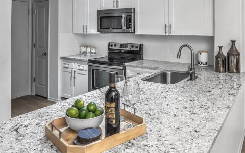 Apartment Kitchen with Quartz Countertops and Stainless Steel Appliances at Camden Highlands Ridge in Highlands Ranch, Colorado