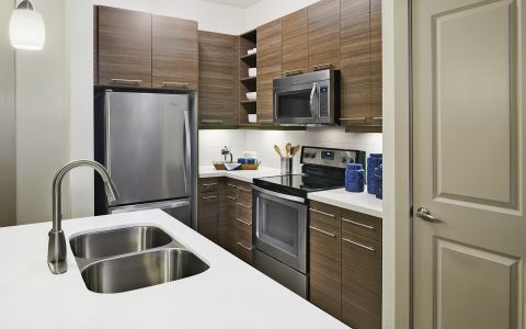 Camden Lincoln Station Apartments in Lone Tree, CO