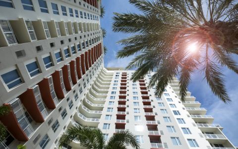 Camden Pier District Apartments in St. Petersburg, FL