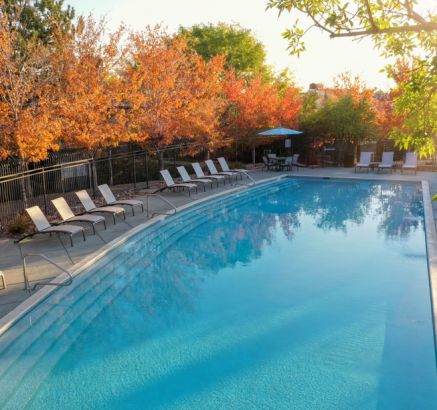 Apartments for Rent in Highlands Ranch, CO - Camden Highlands Ridge