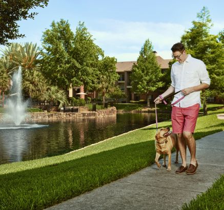apartments for rent in houston tx camden holly springs