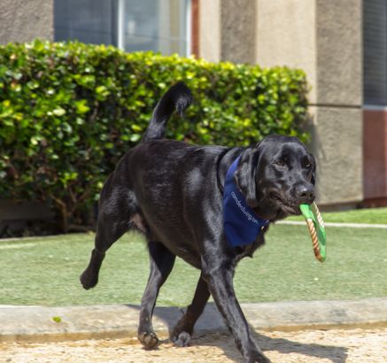 Apartments for Rent in Irvine, CA - Camden Main and Jamboree