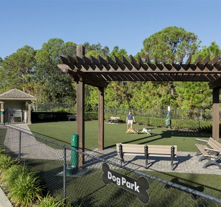 Apartments For Rent Near Citrus Park Mall Apartments For Rent Near Citrus Park Mall