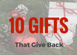 Ten Gifts That Give Back Ten Gifts That Give Back