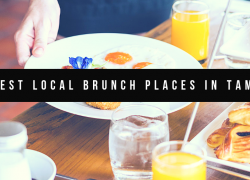 5 Best Local Brunch Places in Tampa 5 Best Local Brunch Places in Tampa