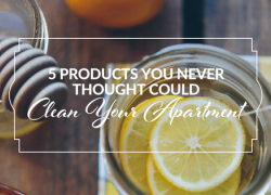 Read these tips for unconventional ways to clean your apartment 5 Products You Never Thought Could Clean Your Apartment