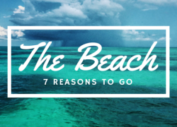 Read these interesting reasons to go to the beach reason to head to the beach