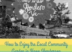 Local Community Garden in Knox/Henderson Local Community Garden in Knox/Henderson