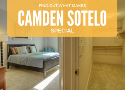 Find Out What Makes Camden Sotelo Special Find Out What Makes Camden Sotelo Special
