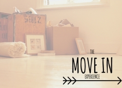 The Move In Experience The Move In Experience