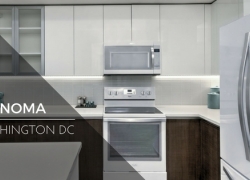 Camden NOMA is Now Open Camden NOMA is Now Open