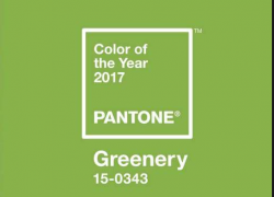 Pantone Color of the Year 2017 "Greenery" Pantone Color of the Year 2017 "Greenery"