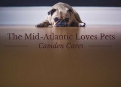 Mid-Atlantic Camden Cares Loves Pets! Mid-Atlantic Camden Cares Loves Pets!