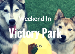 Read this blog for ideas for activities this weekend at Victory Park! Weekend at Victory Park