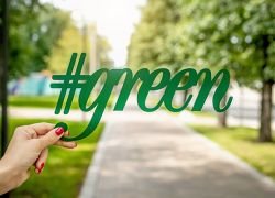 5 Tips to Live a More Sustainable Lifestyle