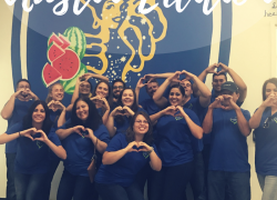 Austin team volunteering at Central Texas Food Bank Camden Cares Austin Edition helps out Central Texas Food Bank