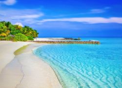 Top Reasons Why it's Important to Take a Vacation Top Reasons Why it's Important to Take a Vacation