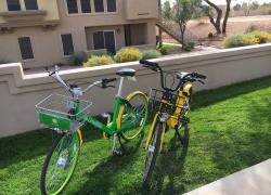 Ofo and Lime Bikes Bike Rentals