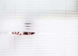 https://1-aegir0-camdenliving-com45.s3.amazonaws.com/s3fs-public/filefield_paths/blinds-curiosity-eyes-906018.jpg