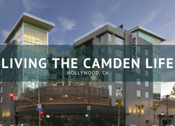 Living The Camden Life with Camden apartments, located in Hollywood, CA. Living The Camden Life with Camden apartments, located in Hollywood, CA