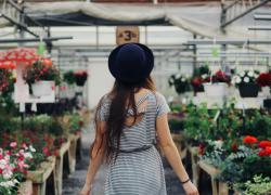 Photo Credit to Pexels.com https://www.pexels.com/photo/woman-walking-between-display-of-flowers-and-plants-906006/