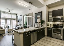Apartment design on a budget Designer Camden Apartment