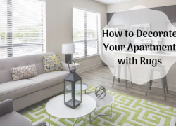 How to Decorate Your Apartment with Rugs decorate-rugs-apartment-home