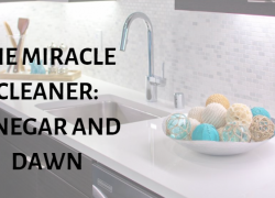 The Miracle Cleaner: Vinegar and Dawn cleaning-home-bathroom-kitchen-vinegar-dawn