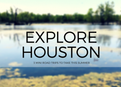 Explore Houston, Texas this summer! Three road trips within an hour of Houston, Texas.