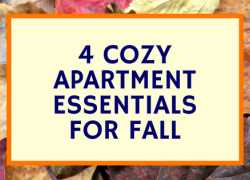Four Cozy Apartment Essentials For Fall Four Easy Ways to Make Your Apartment Cozy For Fall