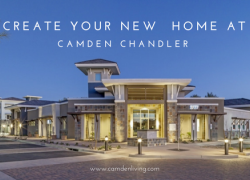 Your New Home at Camden Chandler Your New Home at Camden Chandler