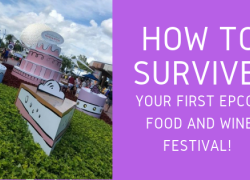 How to Survive Your First Epcot Food and Wine Festival! How to Survive Your First Epcot Food and Wine Festival!