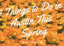 5 Things to Do in Austin This Spring 5 Things to Do in Austin This Spring