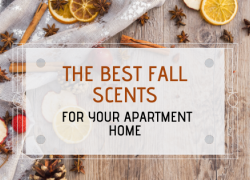 The Best Fall Scents for your Apartment Home The Best Fall Scents for your Apartment Home