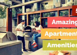 5 Amazing Apartment Amenities 5 Amazing Apartment Amenities