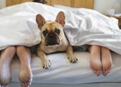 This pup loves being loved and cared for! Caring For Pets During National Pet Dental Health Month