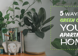 5 Ways to Green Clean Your Apartment Home