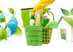 Go Green When You Spring Clean Go Green When You Spring Clean