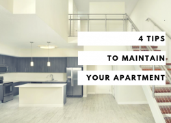 4 Tips to Maintain Your Apartment 4 Tips to Maintain Your Apartment