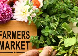 Healthy and Local - Houston Area Farmers Markets Healthy and Local - Houston Area Farmers Markets