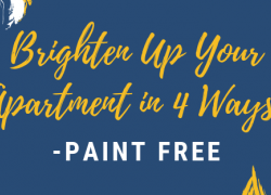 Brighten Up Your Apartment in 4 Ways-Paint Free Brighten Up Your Apartment in 4 Ways-Paint Free