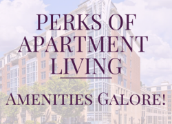 Perks of Apartment Living: Amenities Galore