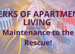 Parks of Living in an Apartment: Maintenance to the Rescue!