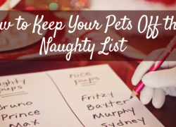 How To Keep Your Pets Off The Naughty List How To Keep Your Pets Off The Naughty List
