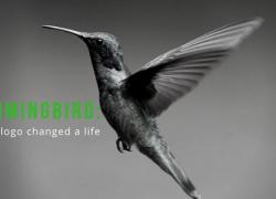The Hummingbird: How a Logo Changed a Life The Hummingbird: How a Logo Changed a Life