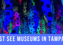 3 Must See Museums in Tampa Bay 3 Must See Museums in Tampa Bay